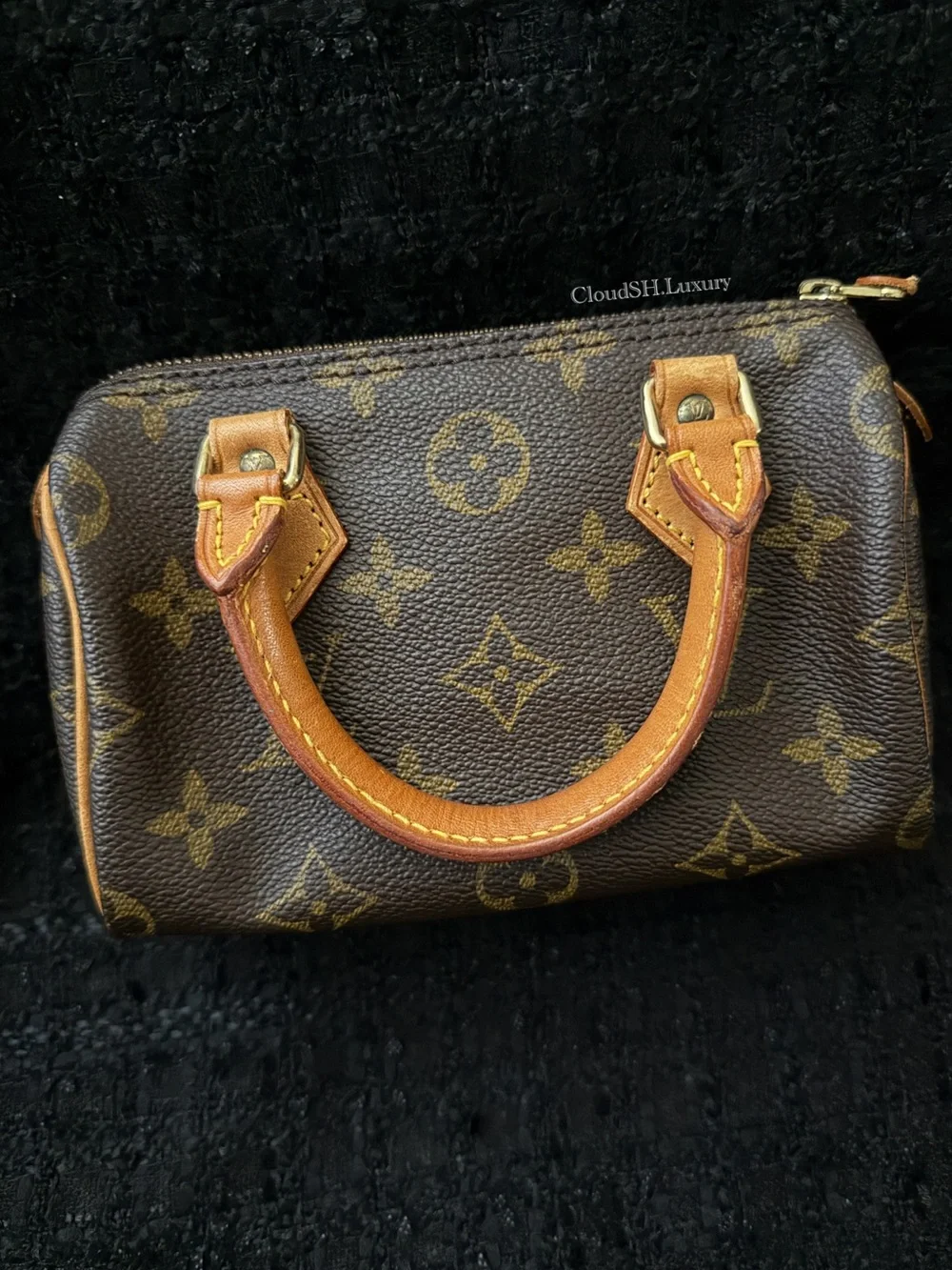 Auth Louis Vuitton Mini HL Speedy Monogram Canvas - Vintage